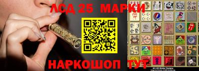 прущие грибы Нальчик