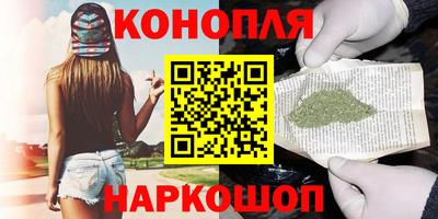 прущие грибы Нальчик