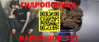прущие грибы Нальчик
