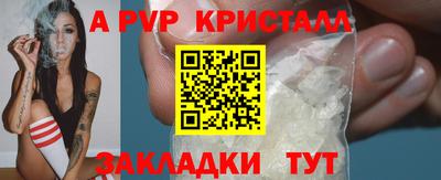 прущие грибы Нальчик