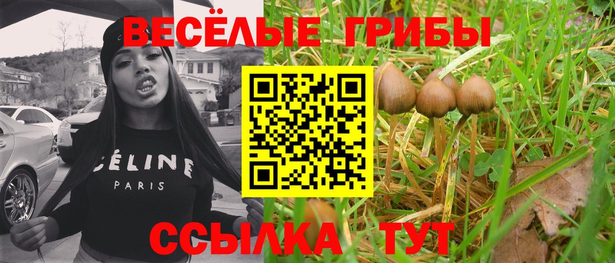 Сланцы  Галлюциногенные грибы мицелий  Вход с VPN  Псилоцибиновые грибы прущие грибы 