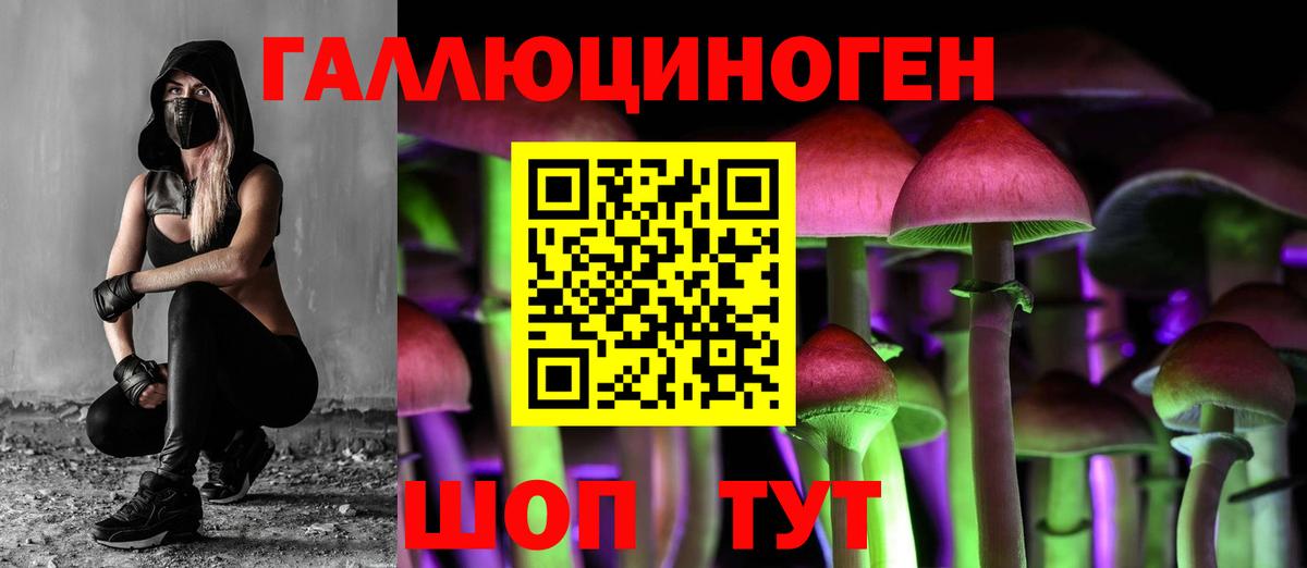 Галлюциногенные грибы Cubensis Сланцы