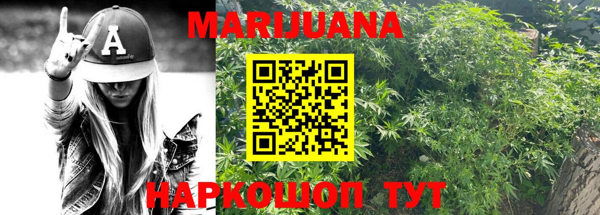 Марихуана OG Kush Сланцы